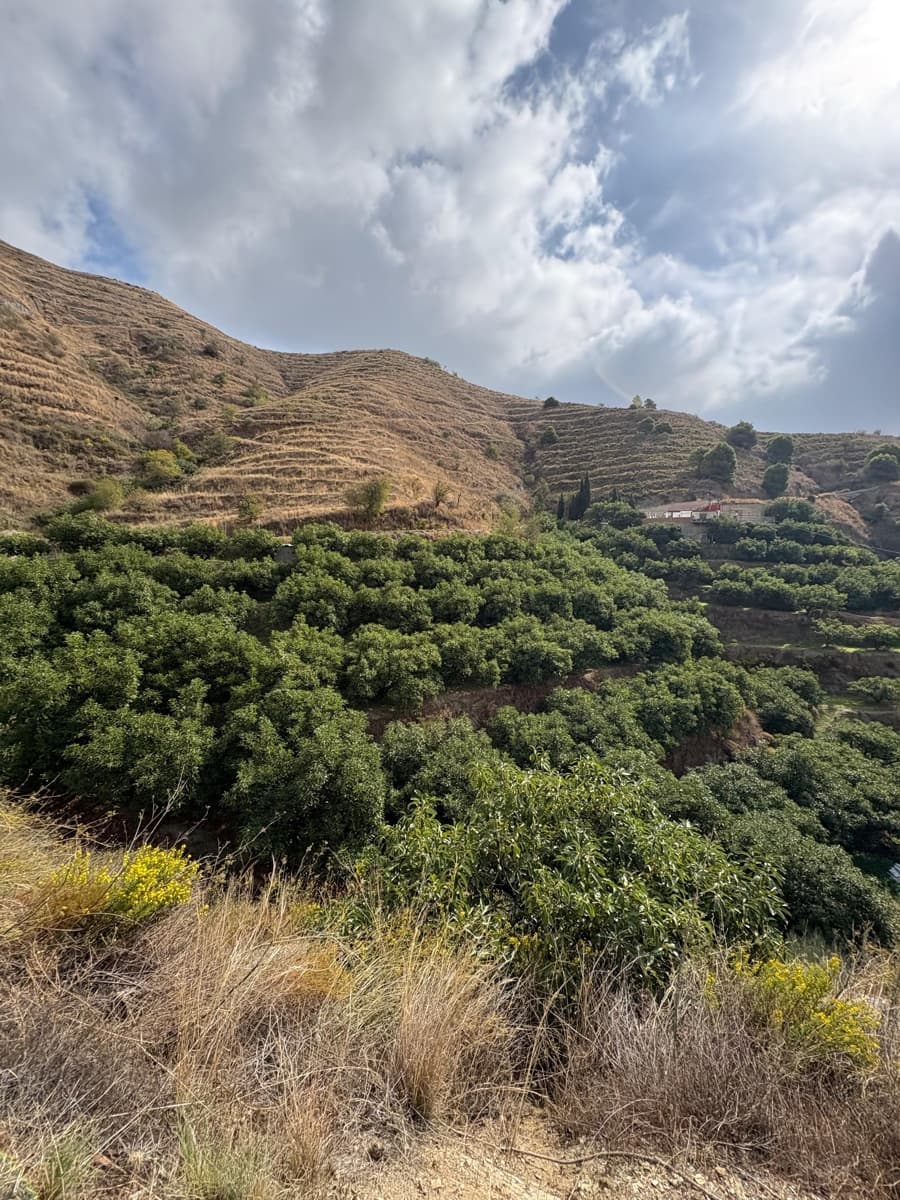 2 soverom Finca/Herregård til salgs i Almunecar med svømmebasseng garasje - € 299 900 (Ref: 9449865)