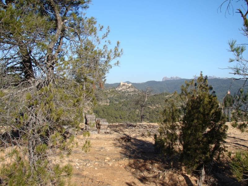 Bauplatz zu verkaufen in La Pobla de Claramunt - 45.000 € (Ref: 8698123)