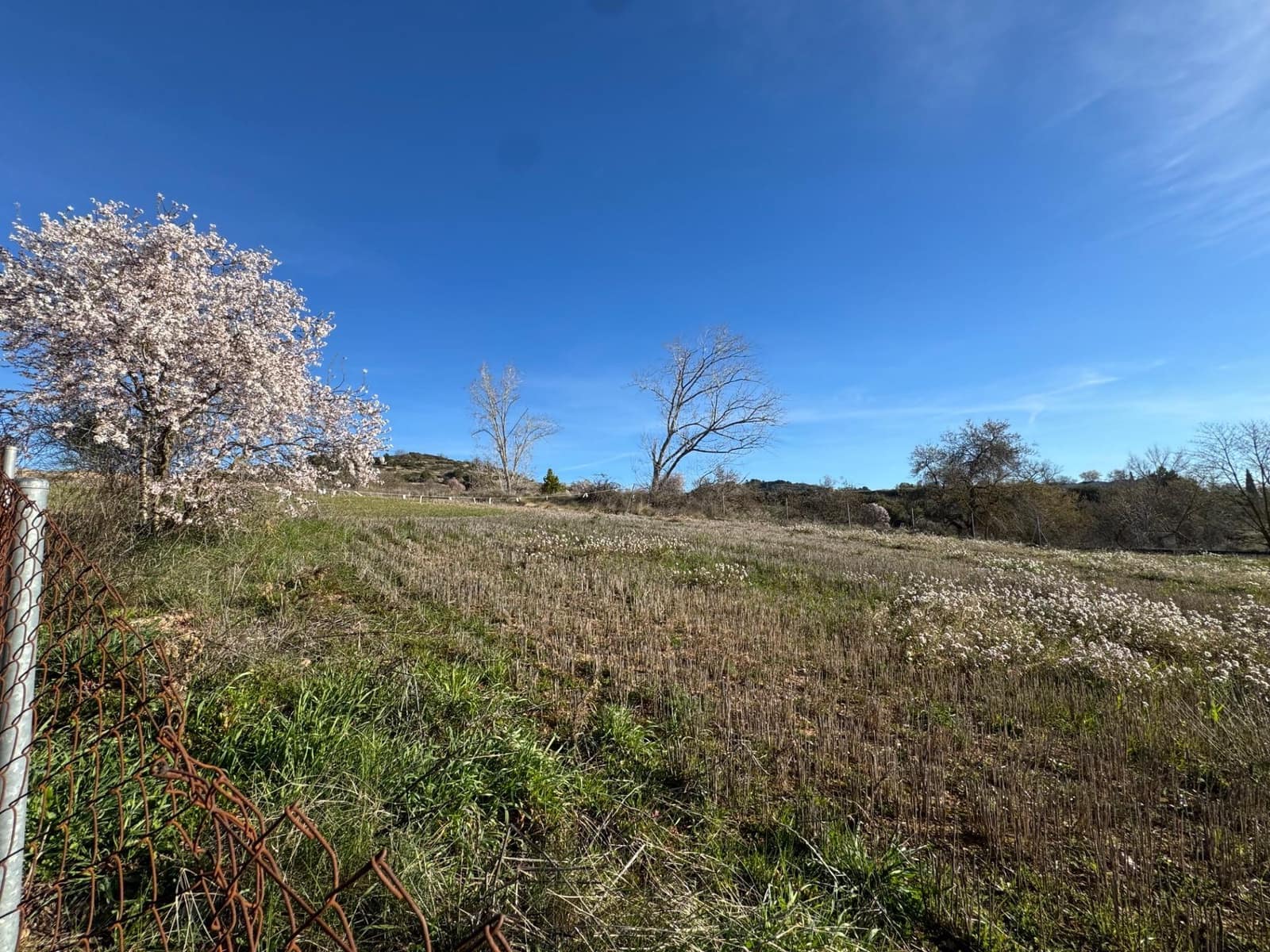 Bauplatz zu verkaufen in Santa Coloma de Queralt - 85.000 € (Ref: 9627500)