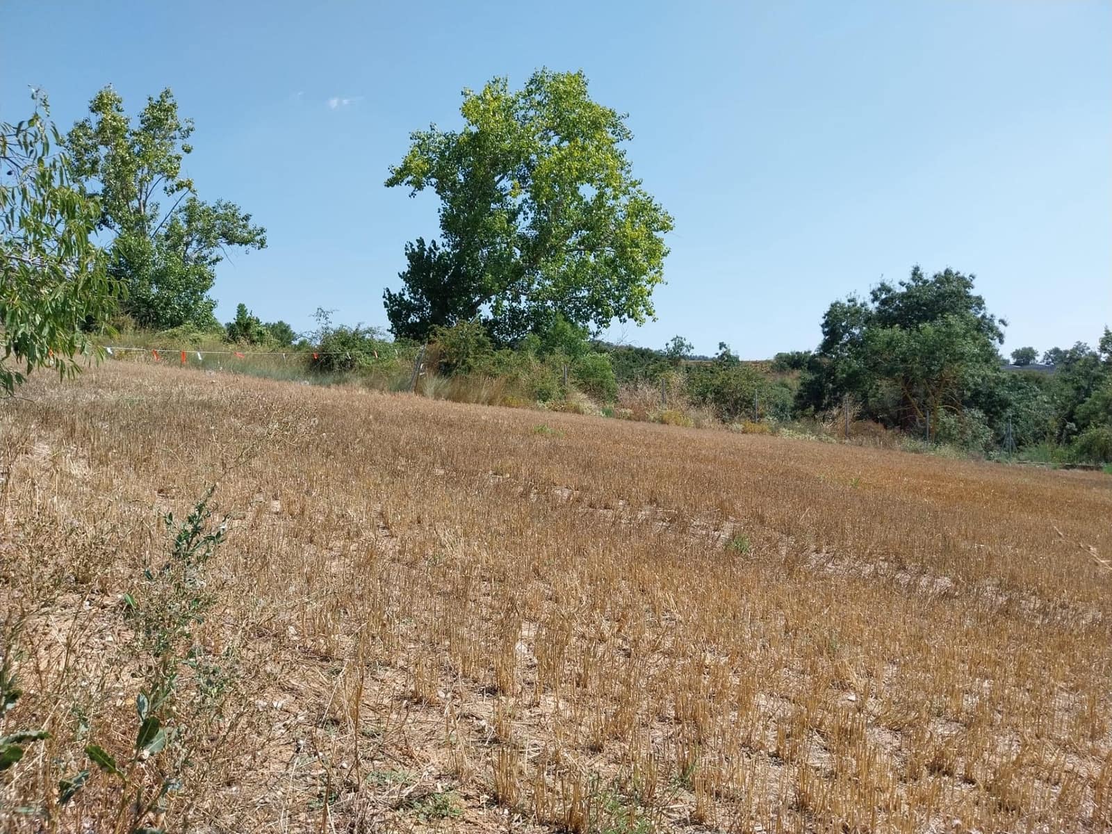 Bauplatz zu verkaufen in Santa Coloma de Queralt - 85.000 € (Ref: 9627500)