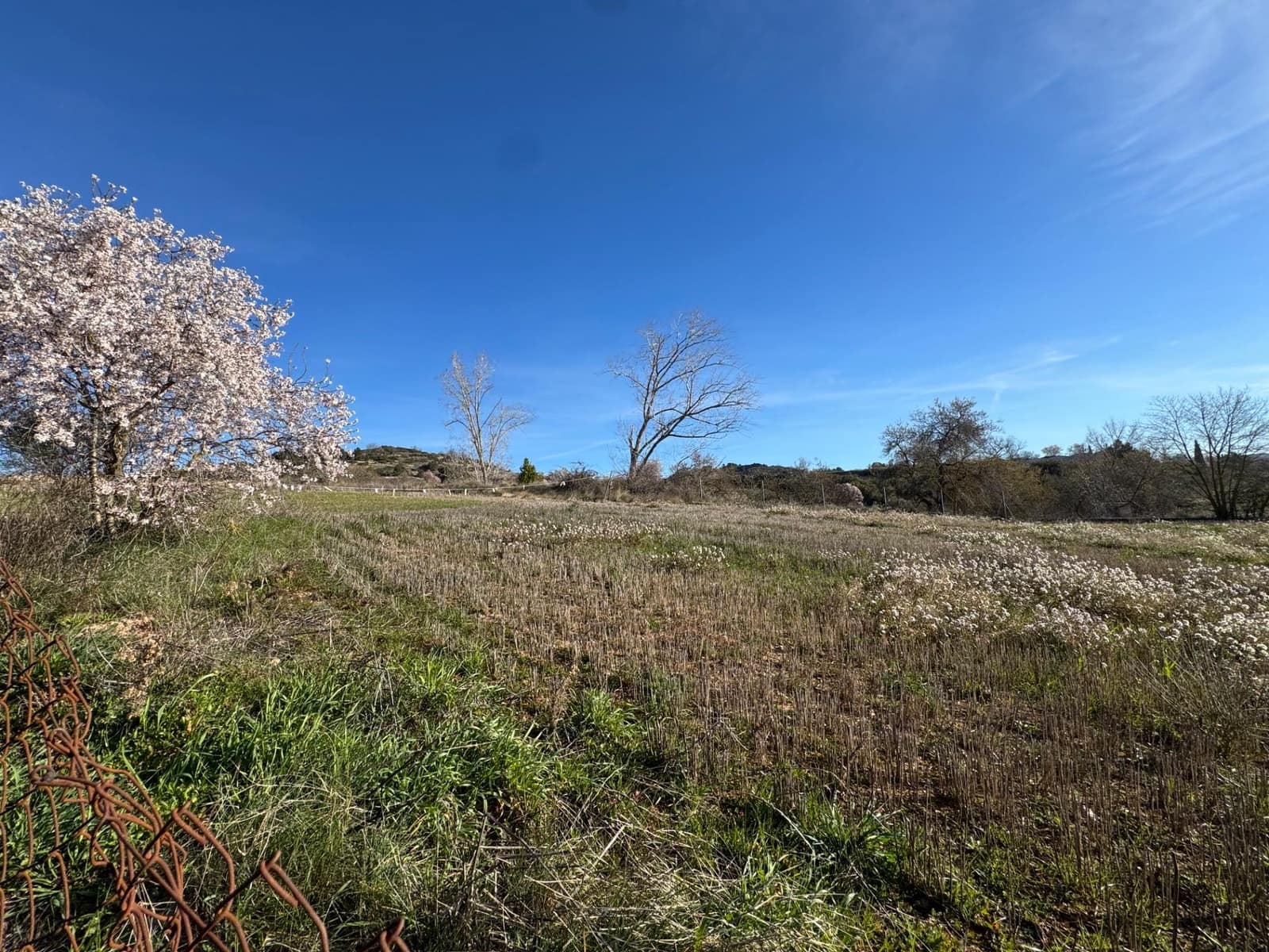 Bauplatz zu verkaufen in Santa Coloma de Queralt - 85.000 € (Ref: 9627500)