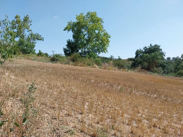 Bauplatz zu verkaufen in Santa Coloma de Queralt - 85.000 € (Ref: 9627500)