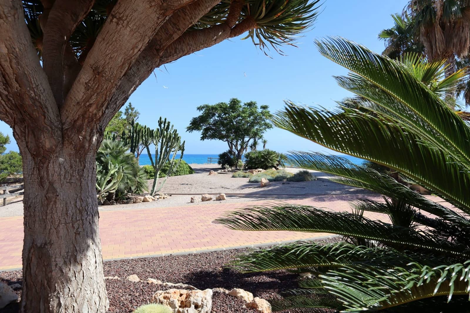 4 camera da letto Attico in vendita in Isla Plana con garage - 325.000 € (Rif: 10113538)