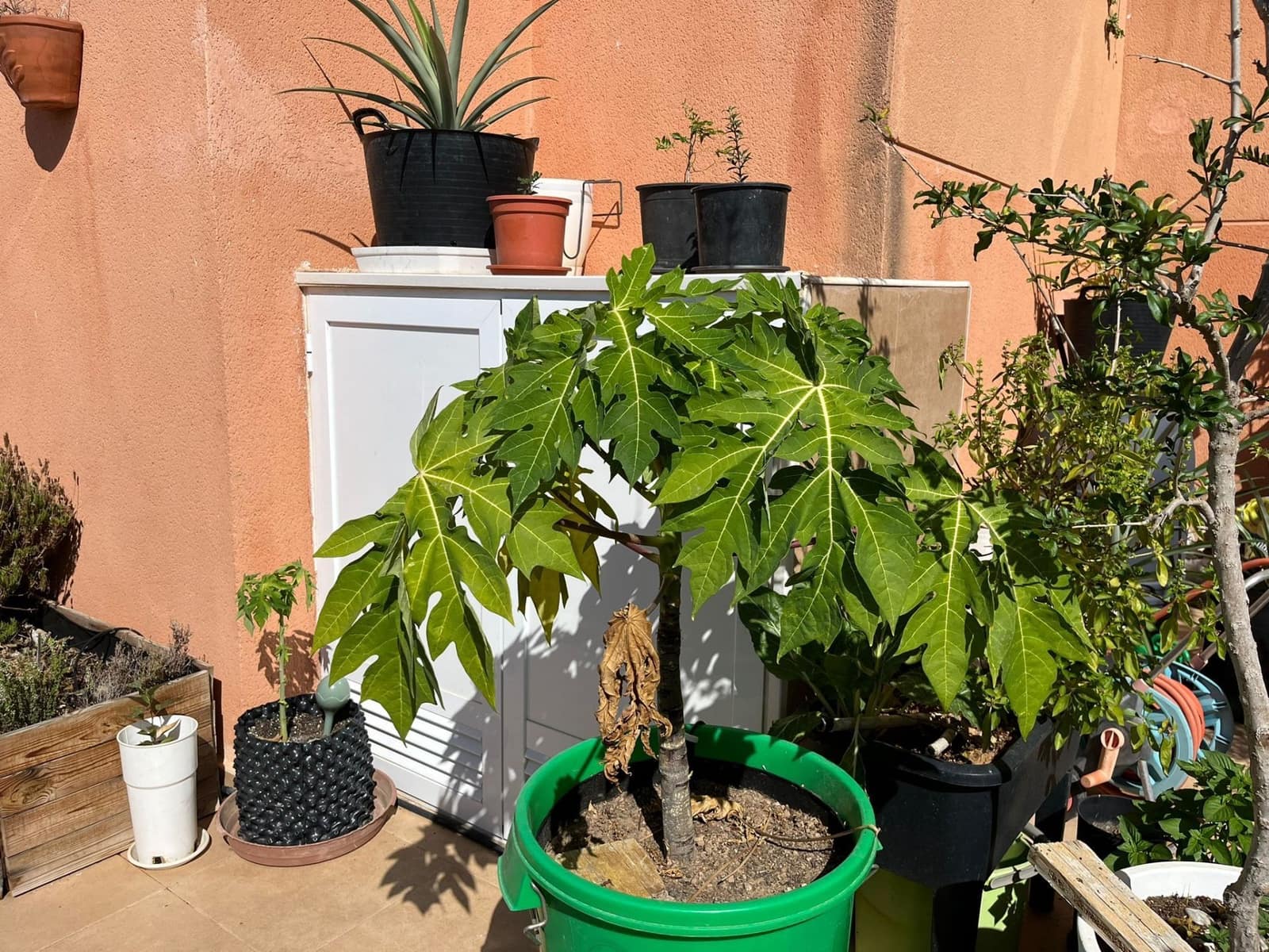 3 quarto Apartamento para venda em Isla Plana com piscina garagem - 250 000 € (Ref: 8536351)