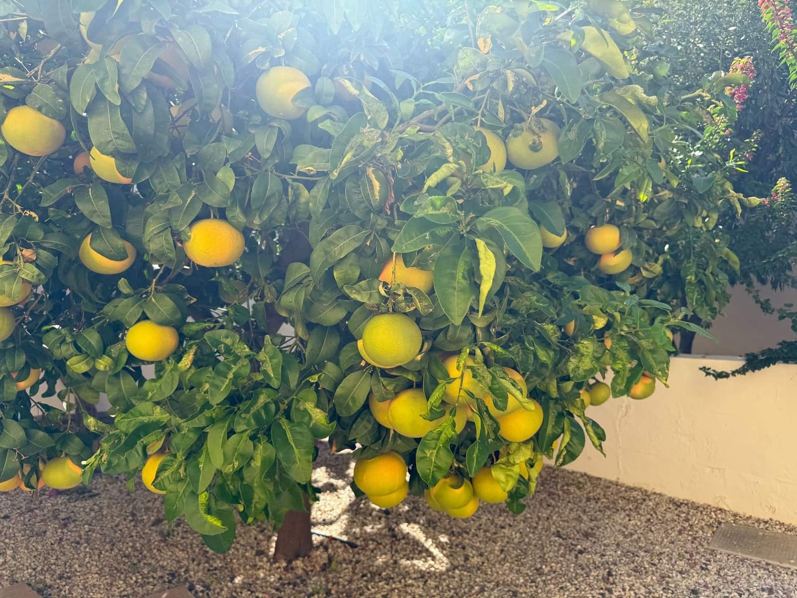 4 soverom Villa til salgs i Isla Plana med svømmebasseng garasje - € 650 000 (Ref: 9392138)