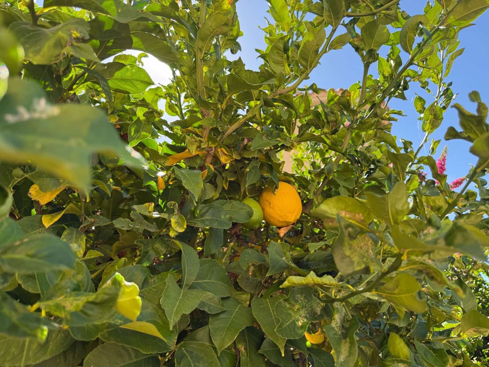 4 soverom Villa til salgs i Isla Plana med svømmebasseng garasje - € 650 000 (Ref: 9392138)