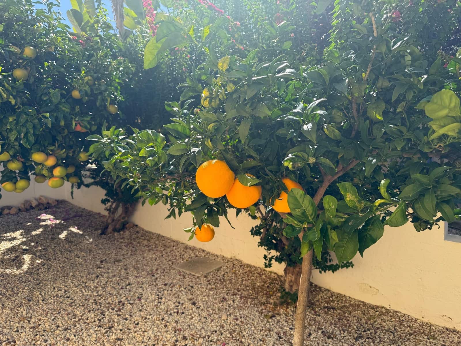 4 soverom Villa til salgs i Isla Plana med svømmebasseng garasje - € 650 000 (Ref: 9392138)