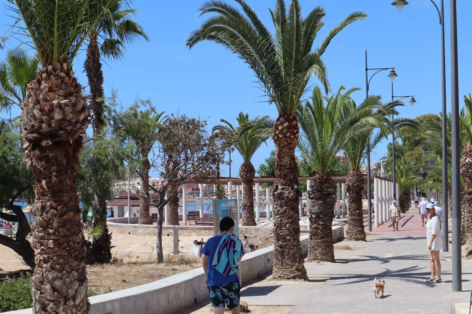 3 bedroom Villa for sale in Puerto de Mazarron with pool garage - € 294,000 (Ref: 9436659)