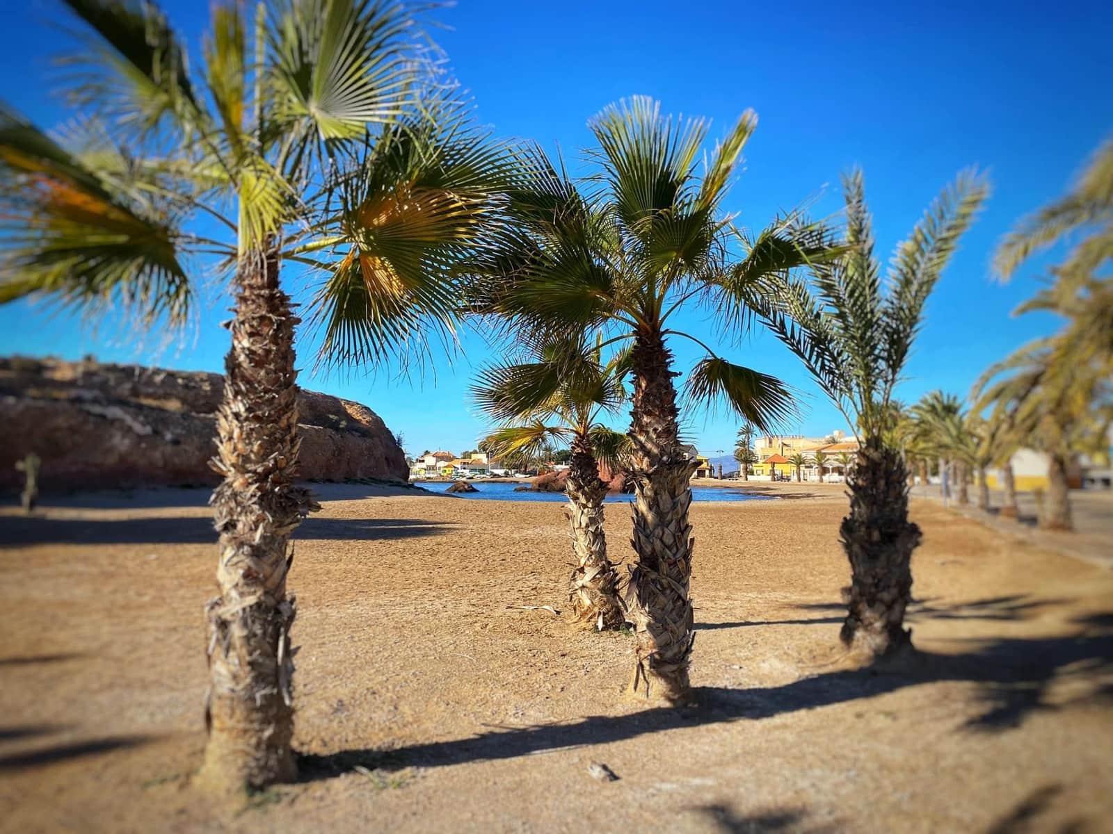 6 sovrum Villa till salu i Bolnuevo med pool garage - 975 000 € (Ref: 9604567)