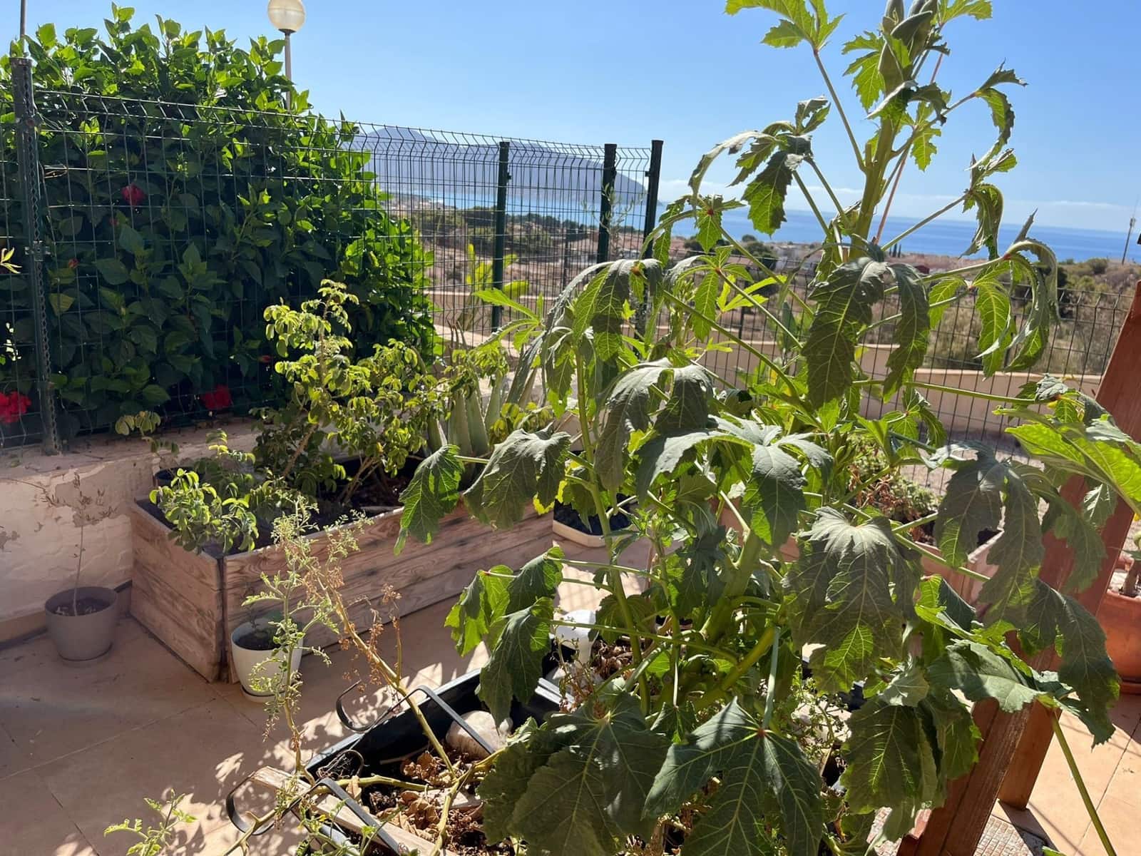 Apartamento de 3 habitaciones en Isla Plana en venta con piscina garaje - 250.000 € (Ref: 9643725)