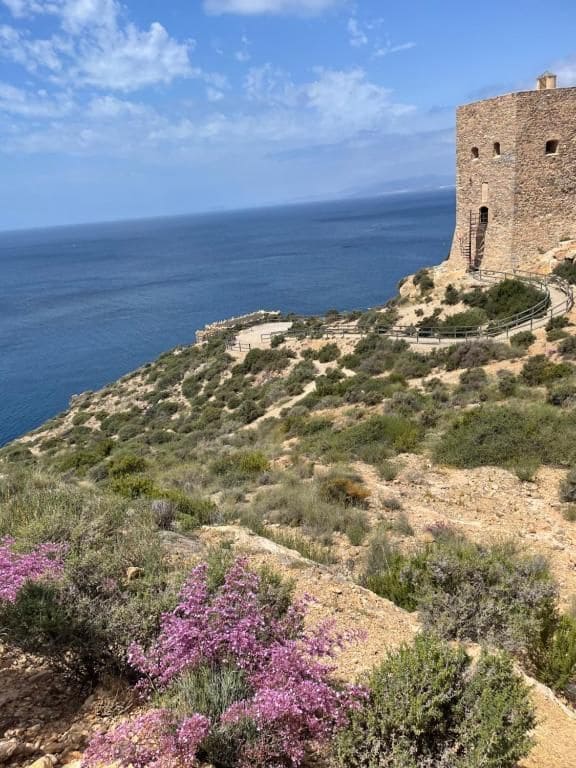 2 slaapkamer Penthouse te koop in La Azohia - € 259.000 (Ref: 9972817)