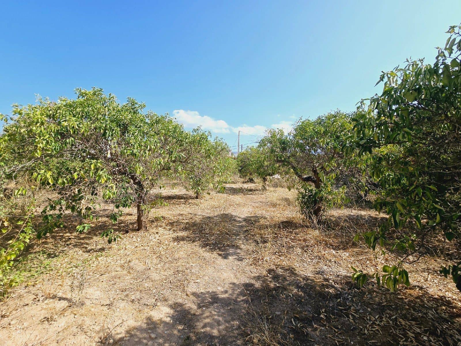 3 soveværelse Villa til salg i Los Gallardos med garage - € 219.900 (Ref: 8293720)