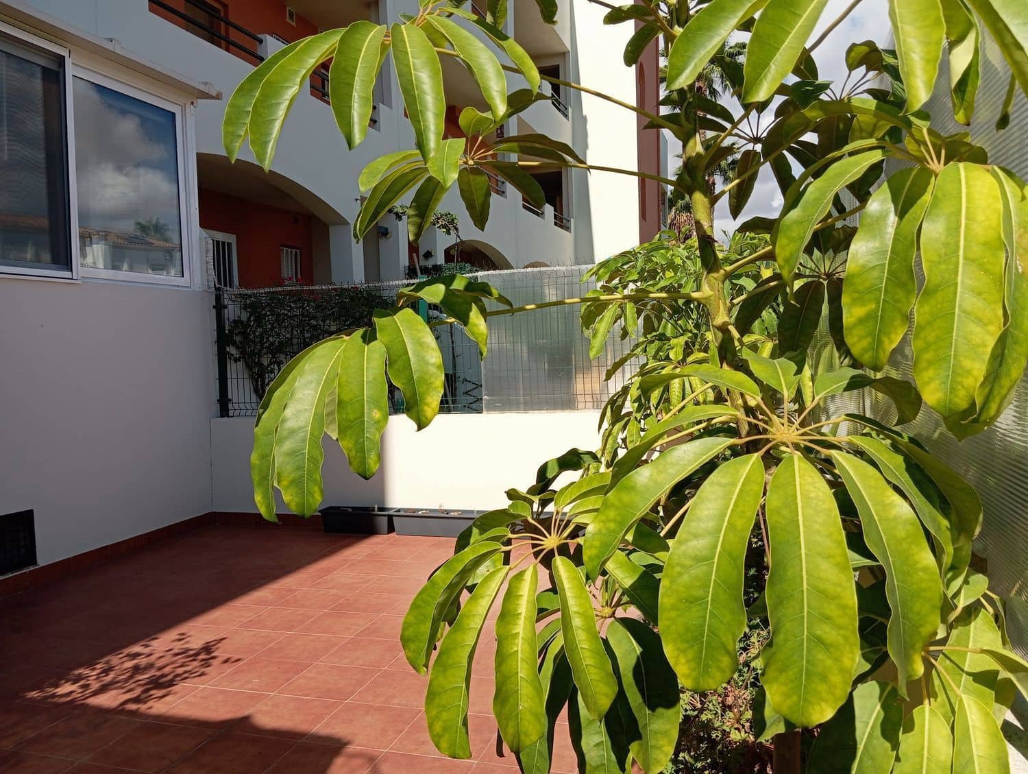 2 Zimmer Wohnung zu verkaufen in Vera mit Pool Garage - 236.500 € (Ref: 9379775)