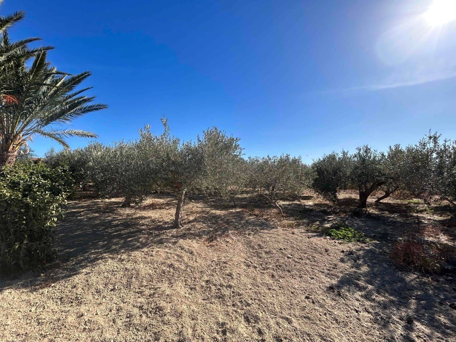 3 quarto Moradia para venda em Vera com piscina garagem - 395 000 € (Ref: 9379849)