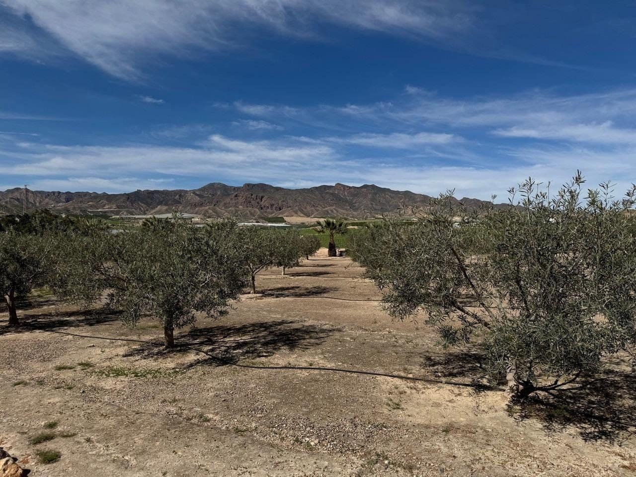 3 soverom Villa til salgs i Cuevas del Almanzora med svømmebasseng - € 375 000 (Ref: 9387094)