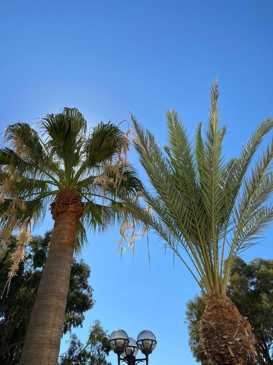 1 bedroom Penthouse for sale in Mojacar with pool - € 150,000 (Ref: 9400083)