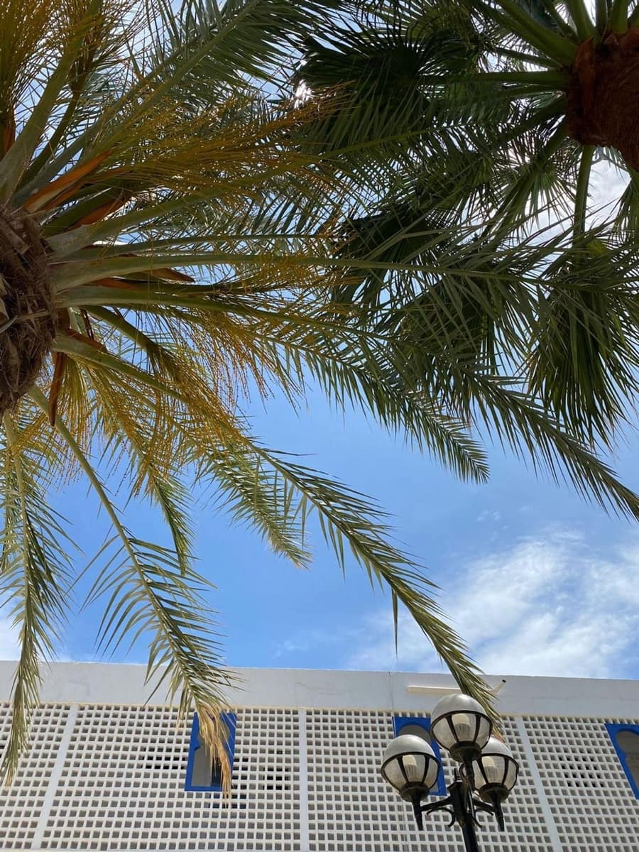 1 bedroom Penthouse for sale in Mojacar with pool - € 150,000 (Ref: 9400083)