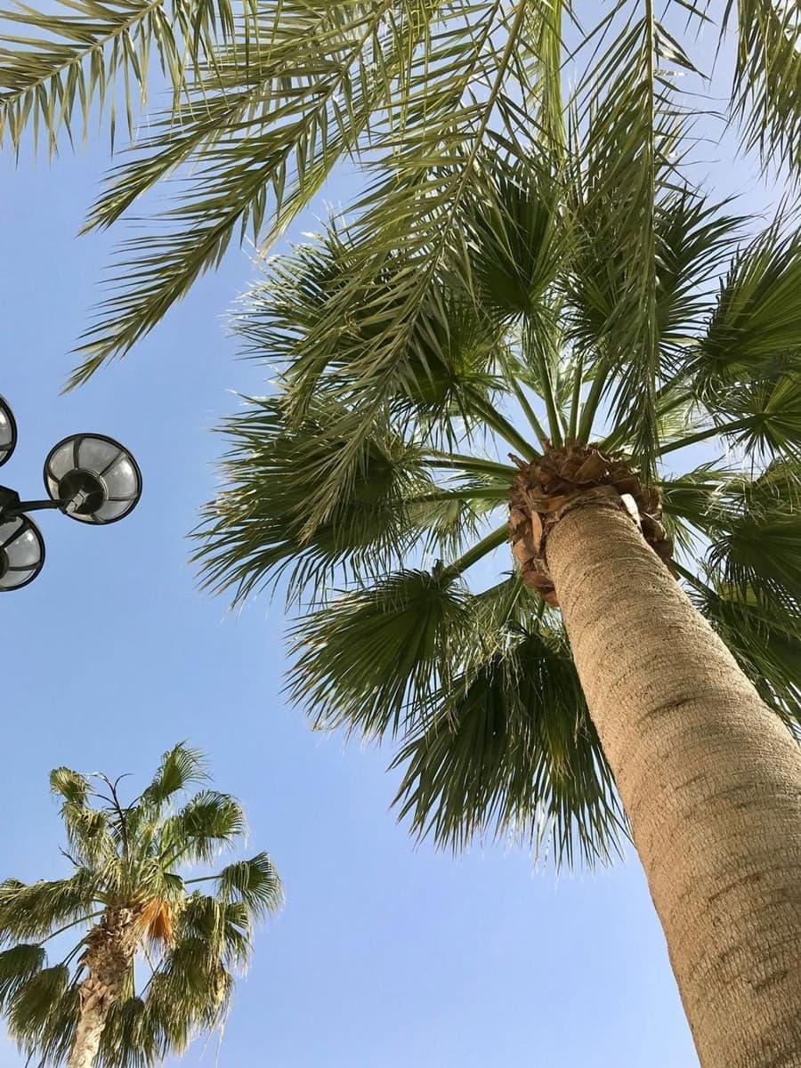 1 bedroom Penthouse for sale in Mojacar with pool - € 150,000 (Ref: 9400083)