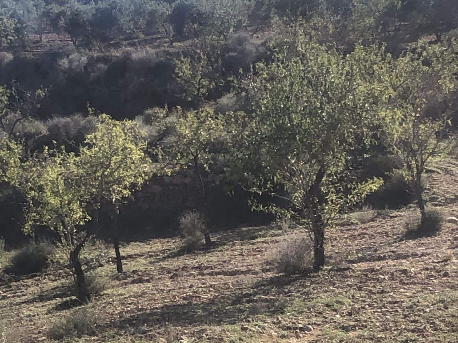 3 bedroom Villa for sale in Bedar - € 195,000 (Ref: 9405793)