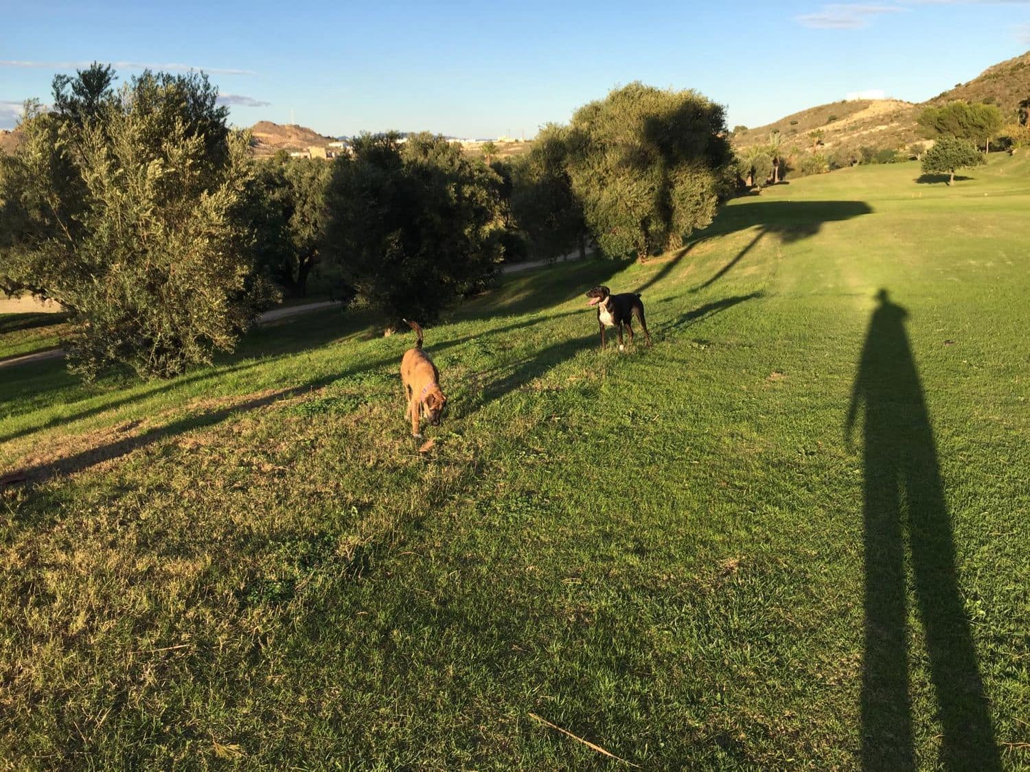 2 chambre Appartement à vendre à Mojacar avec piscine garage - 199 500 € (Ref: 9428918)