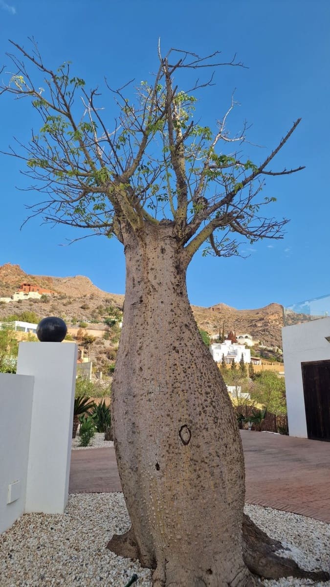 Chalet de 6 habitaciones en Mojácar en venta con piscina garaje - 1.300.000 € (Ref: 9435036)