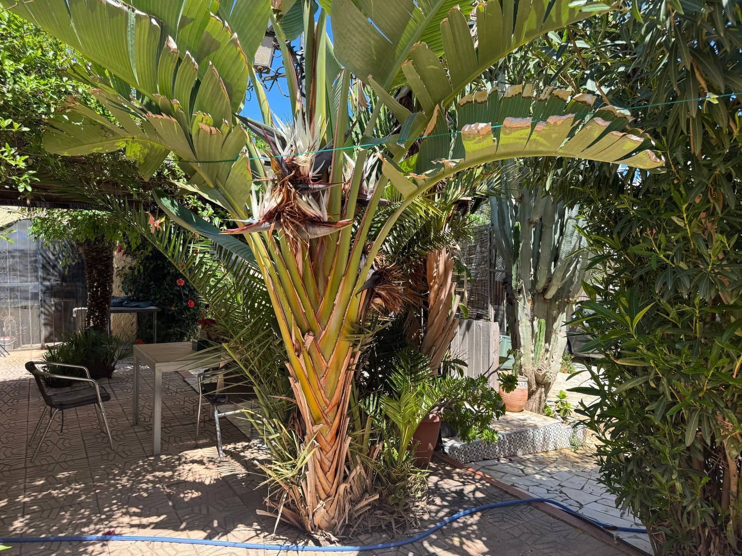 3 sypialnia Willa na sprzedaż w Mojacar z garażem - 349 000 € (Ref: 9451670)