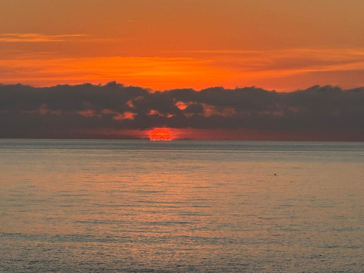 Chalet de 4 habitaciones en Almería ciudad en venta con piscina garaje - 1.290.000 € (Ref: 9465097)