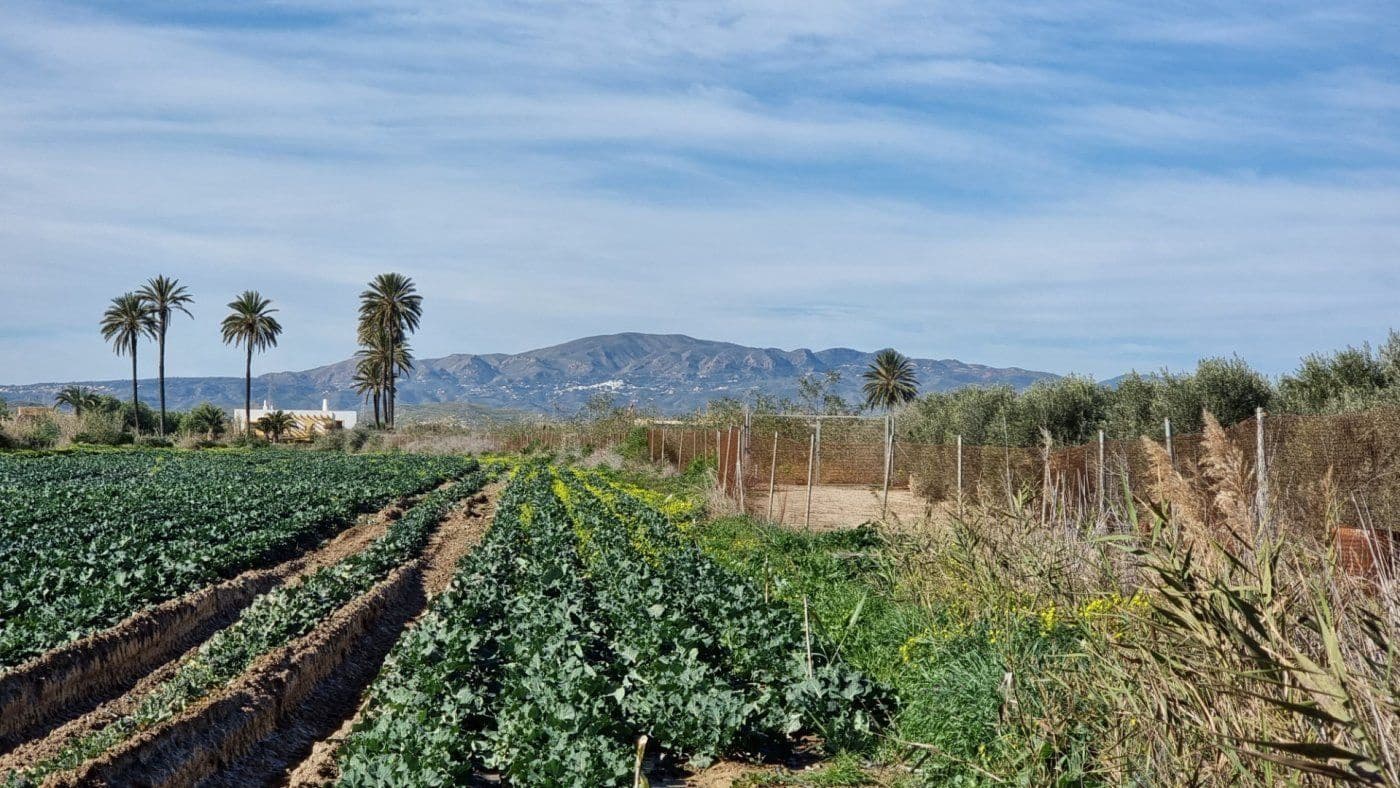 Solar/Parcela en Garrucha en venta - 89.000 € (Ref: 9470719)