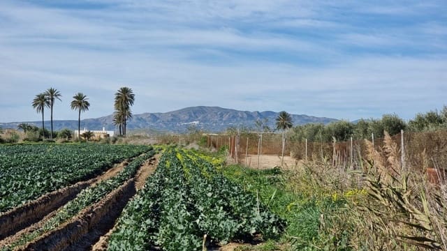 Solar/Parcela en Garrucha en venta - 89.000 € (Ref: 9470719)