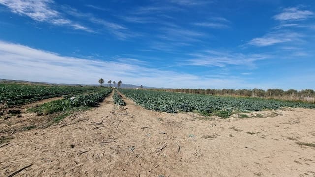 Solar/Parcela en Garrucha en venta - 89.000 € (Ref: 9470719)