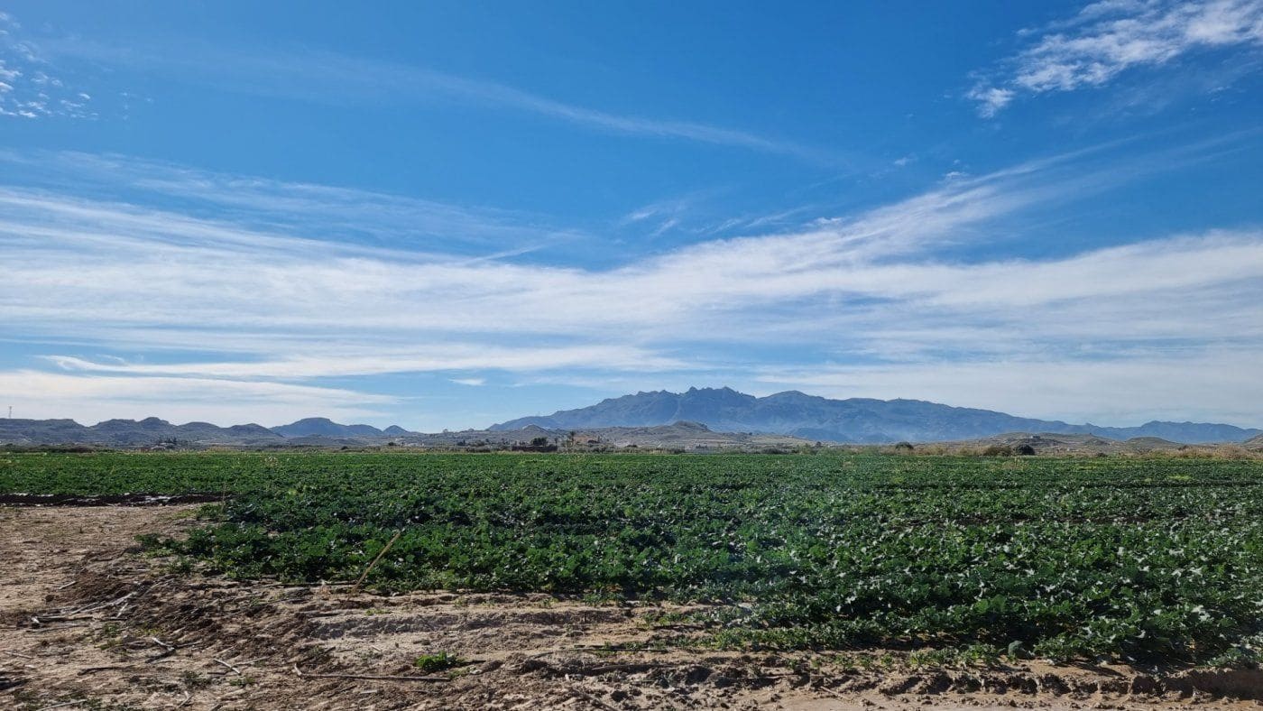 Solar/Parcela en Garrucha en venta - 89.000 € (Ref: 9470719)