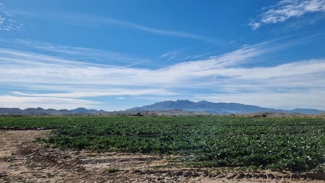 Solar/Parcela en Garrucha en venta - 89.000 € (Ref: 9470719)