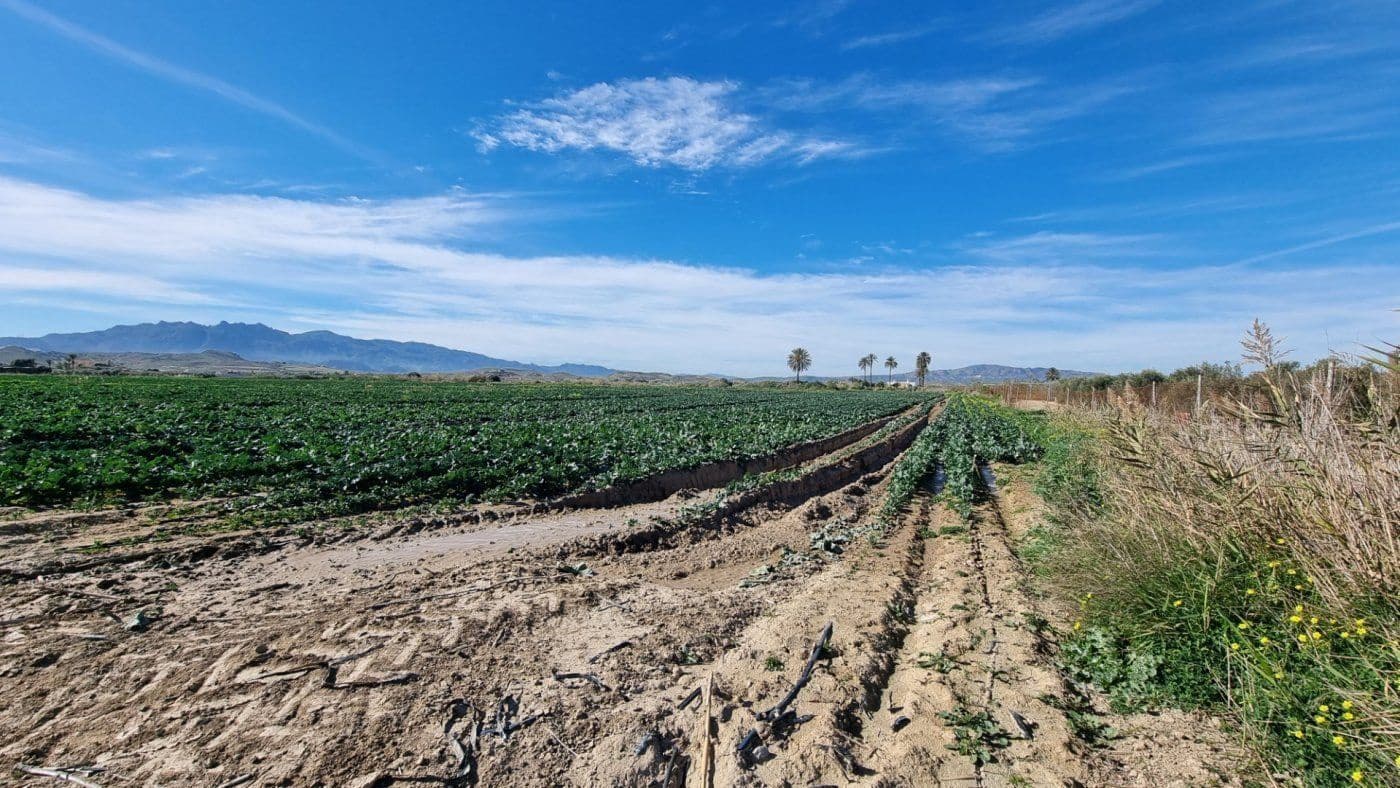 Solar/Parcela en Garrucha en venta - 89.000 € (Ref: 9470719)