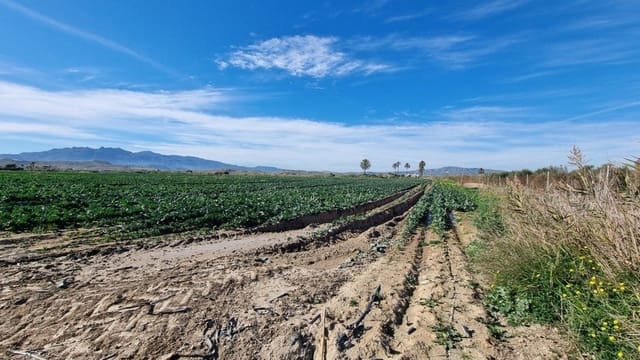 Solar/Parcela en Garrucha en venta - 89.000 € (Ref: 9470719)