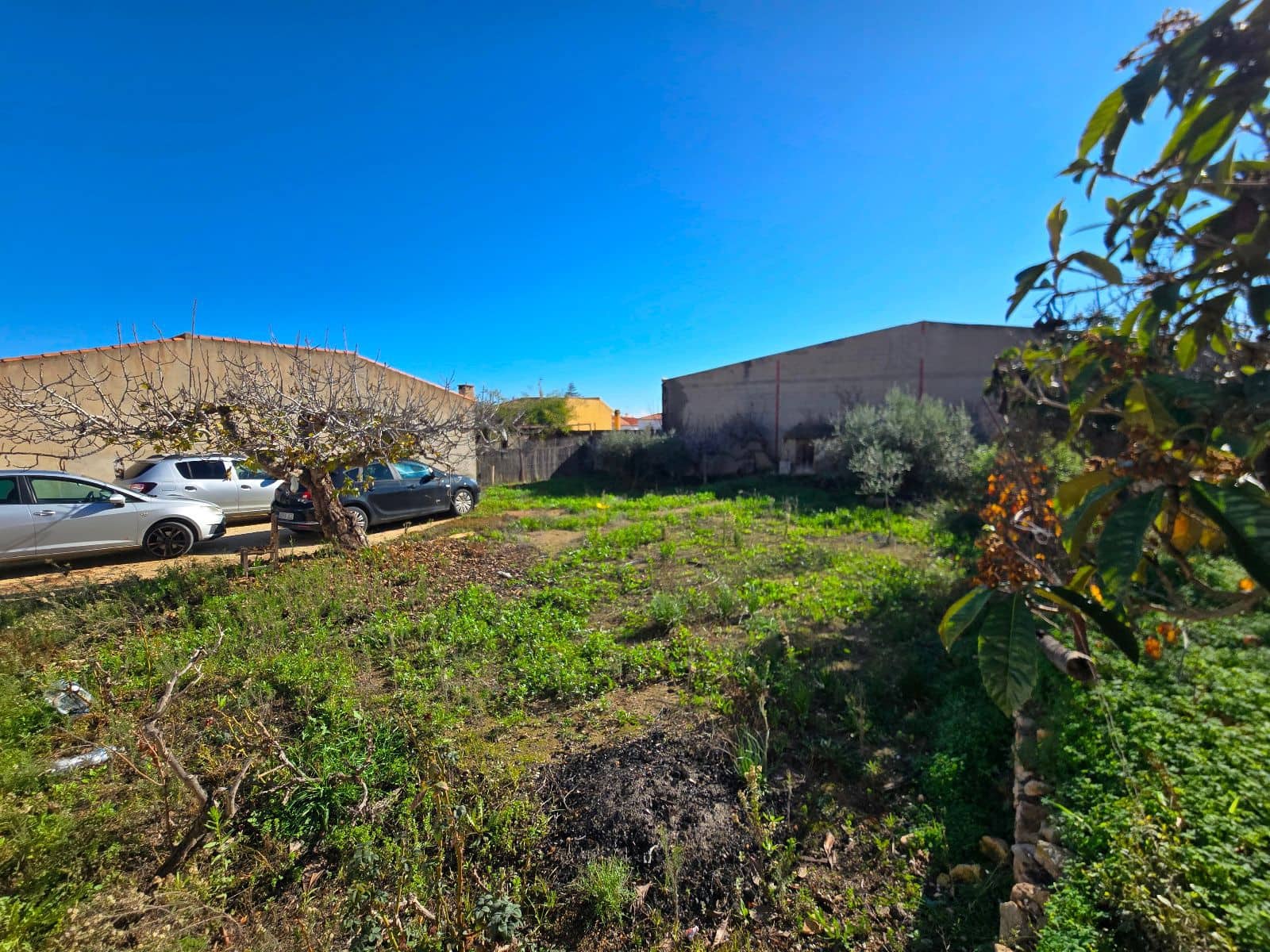 Bauplatz zu verkaufen in Los Gallardos - 60.000 € (Ref: 9532909)