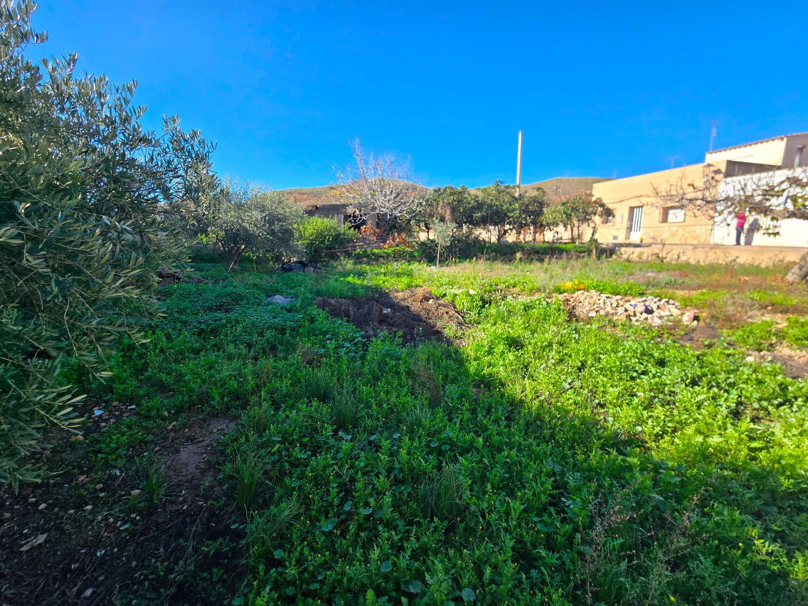 Bauplatz zu verkaufen in Los Gallardos - 60.000 € (Ref: 9532909)