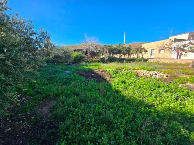 Bauplatz zu verkaufen in Los Gallardos - 60.000 € (Ref: 9532909)