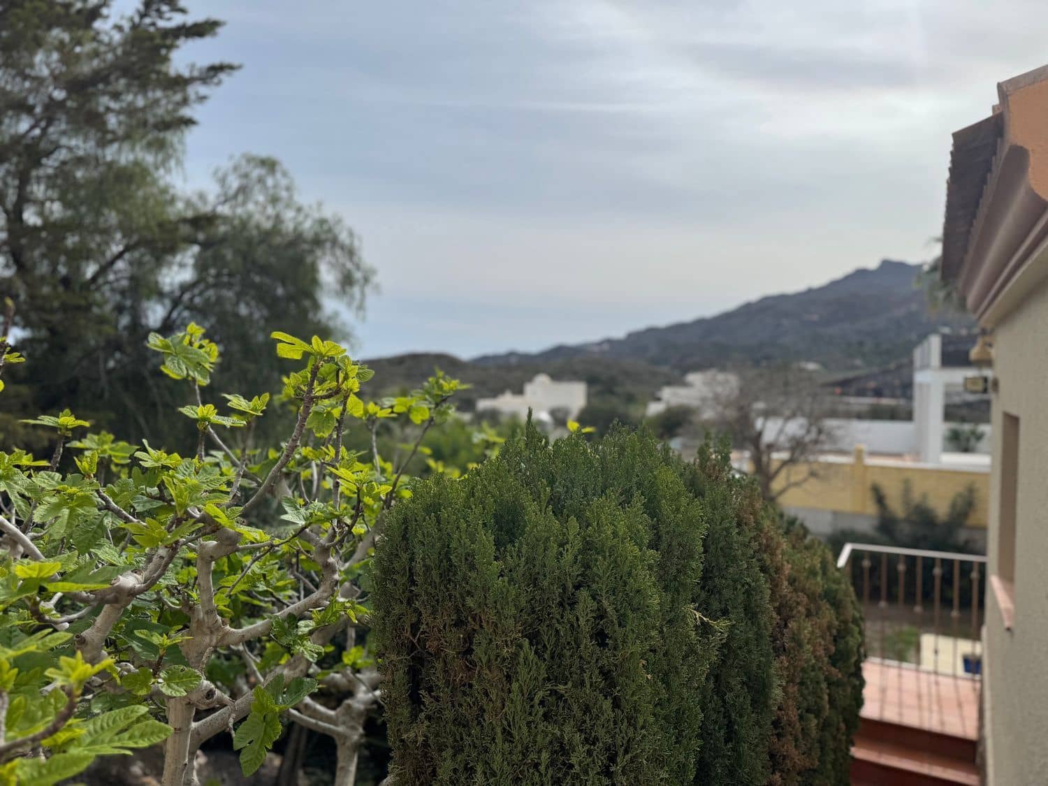 3 Zimmer Villa zu verkaufen in Mojacar mit Pool Garage - 449.950 € (Ref: 9639782)