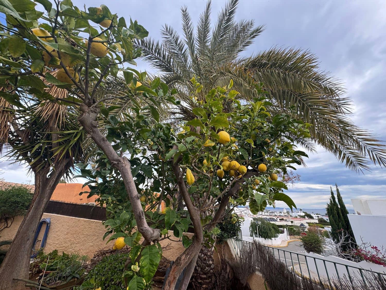 3 sovrum Villa till salu i Mojacar med garage - 350 000 € (Ref: 9643367)