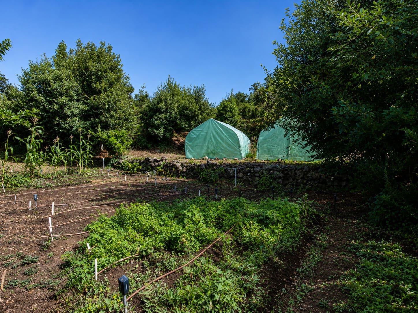 1 soveværelse Finca/Landehus til salg i El Tanque - € 95.000 (Ref: 10085214)