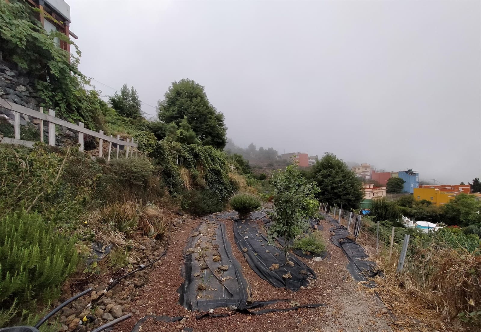 2 slaapkamer Huis te koop in La Orotava met garage - € 315.000 (Ref: 9357436)