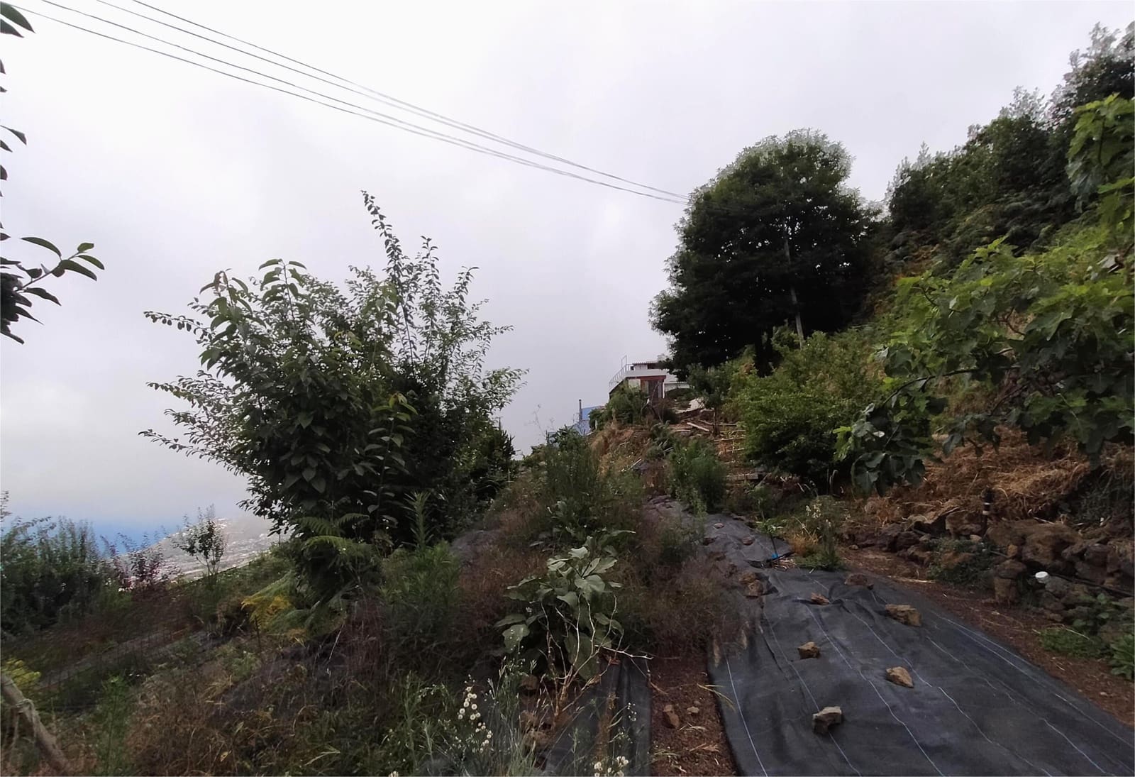 2 slaapkamer Huis te koop in La Orotava met garage - € 315.000 (Ref: 9357436)