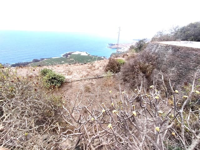 Undeveloped Land for sale in Garachico - € 42,000 (Ref: 9388421)