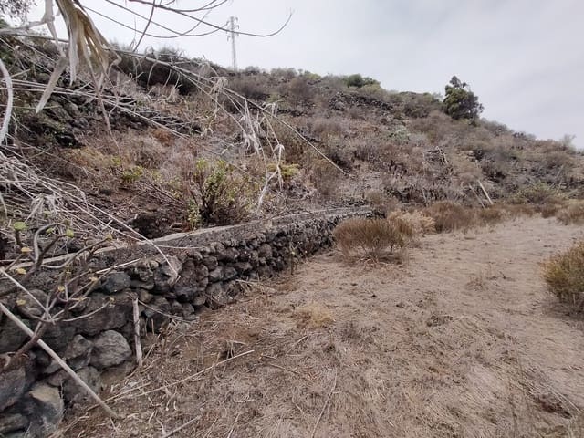 Undeveloped Land for sale in Garachico - € 42,000 (Ref: 9388421)