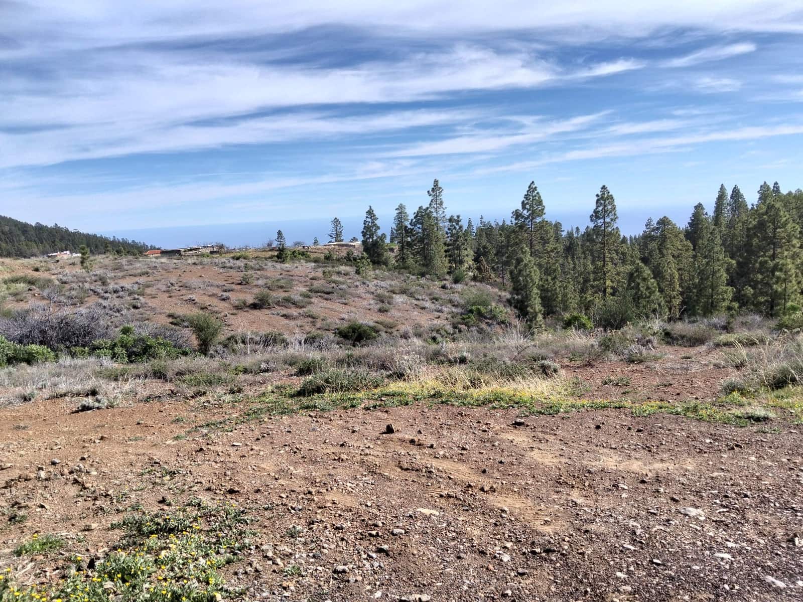 Undeveloped Land for sale in Vilaflor - € 36,000 (Ref: 9914555)