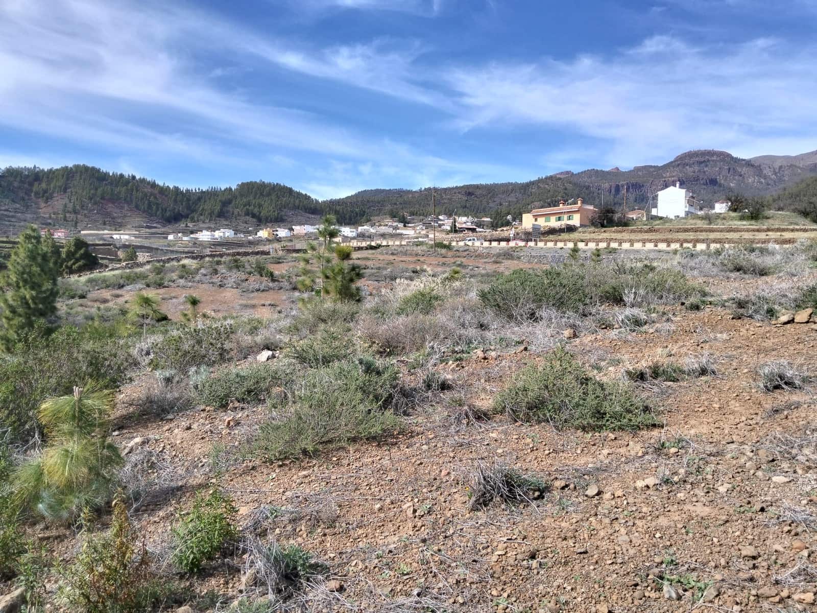 Undeveloped Land for sale in Vilaflor - € 36,000 (Ref: 9914555)