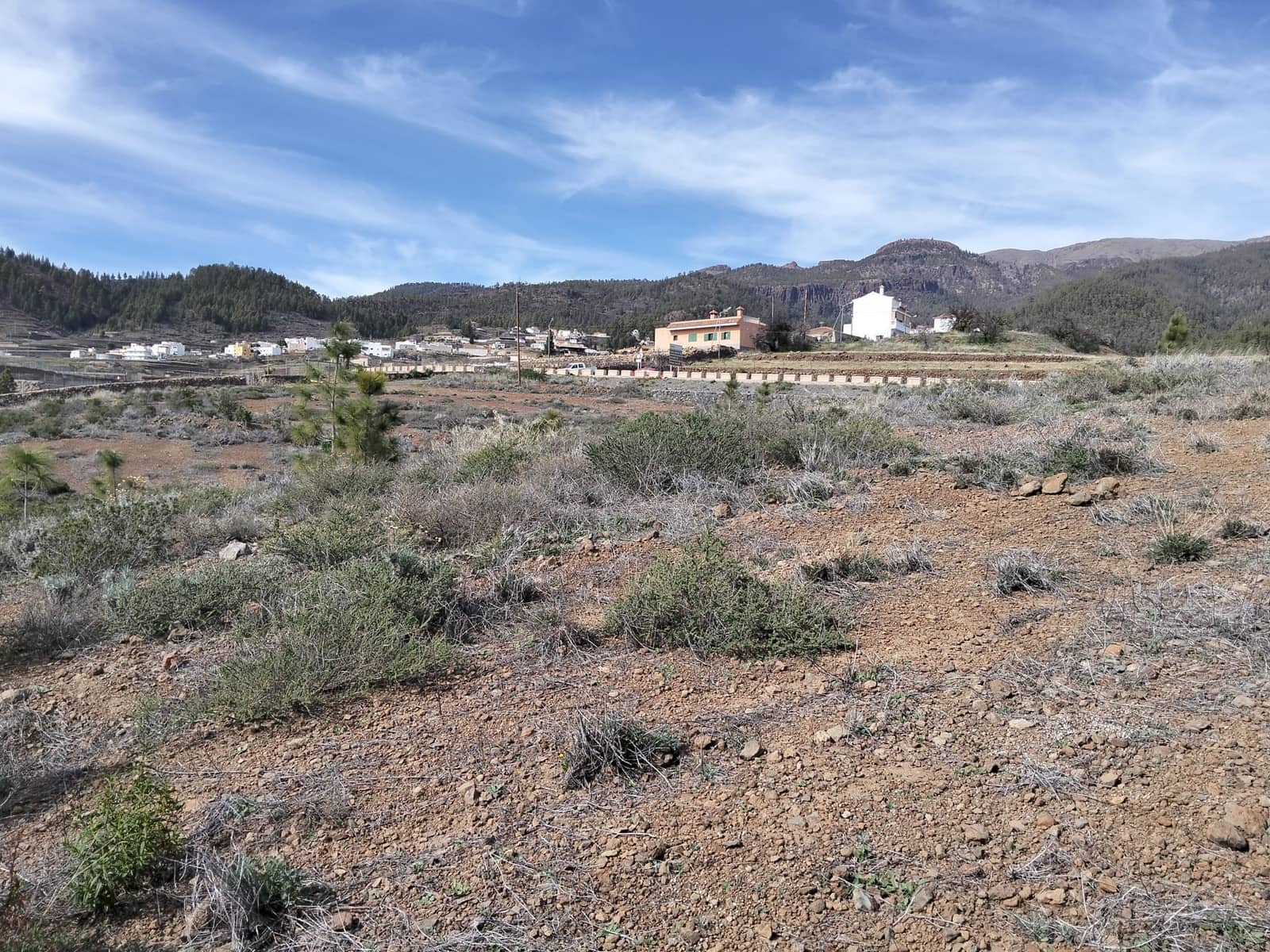 Undeveloped Land for sale in Vilaflor - € 36,000 (Ref: 9914555)