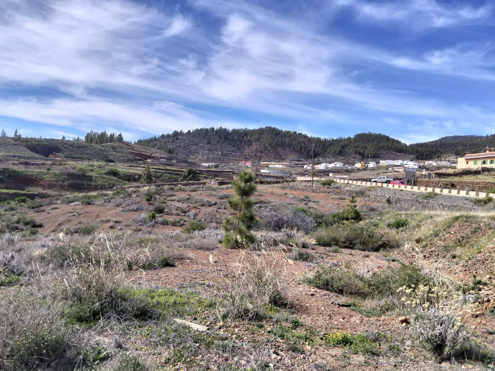 Undeveloped Land for sale in Vilaflor - € 36,000 (Ref: 9914555)