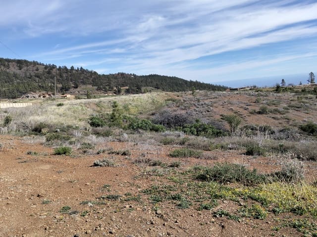 Undeveloped Land for sale in Vilaflor - € 36,000 (Ref: 9914555)