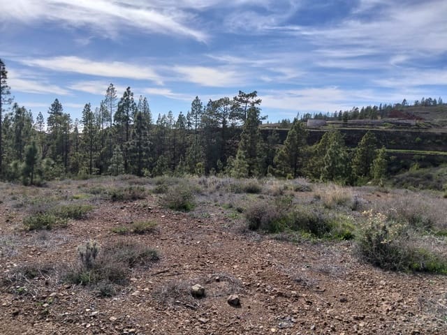 Undeveloped Land for sale in Vilaflor - € 36,000 (Ref: 9914555)
